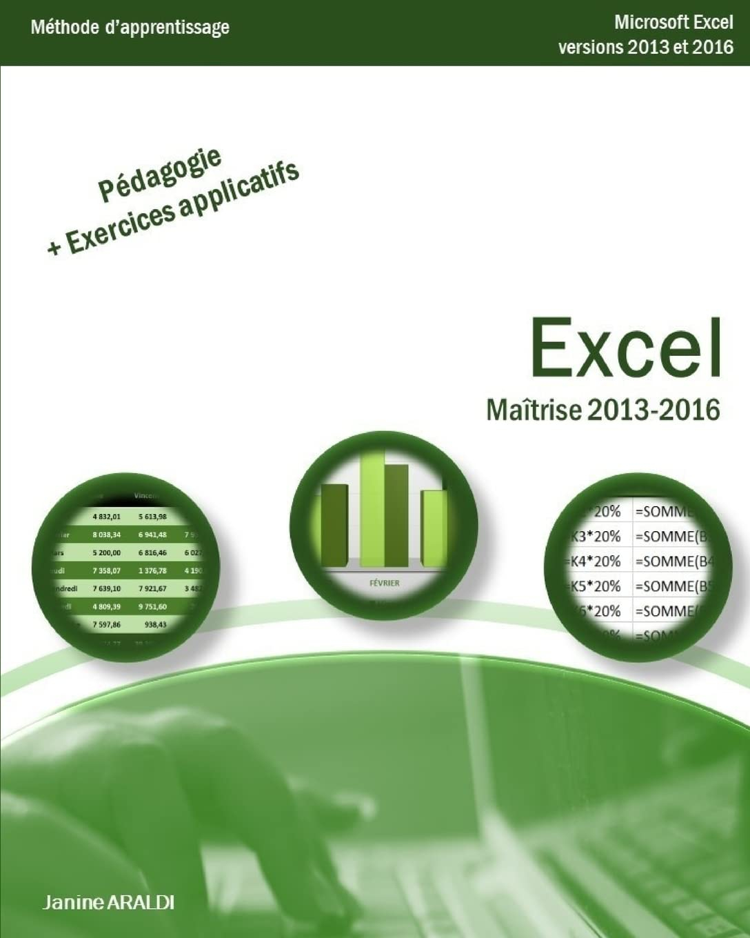 Excel Maîtrise 2013 - 2016