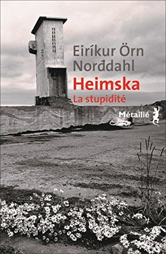 heimska. la stupidité.