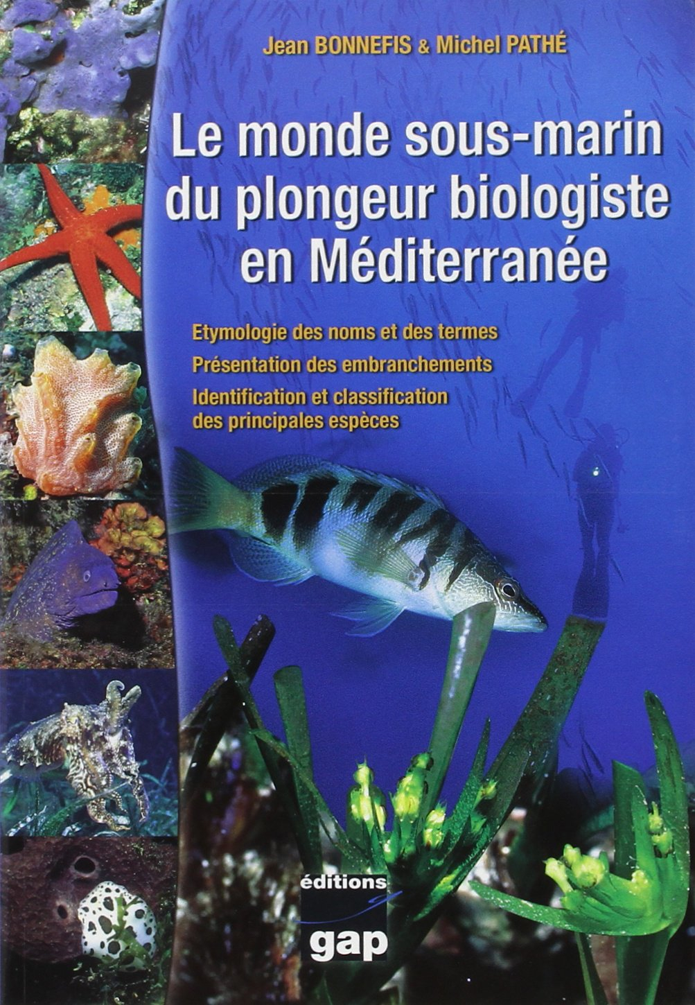 Le monde sous-marin du plongeur biologiste en Méditerranée : étymologie des noms et des termes, prés