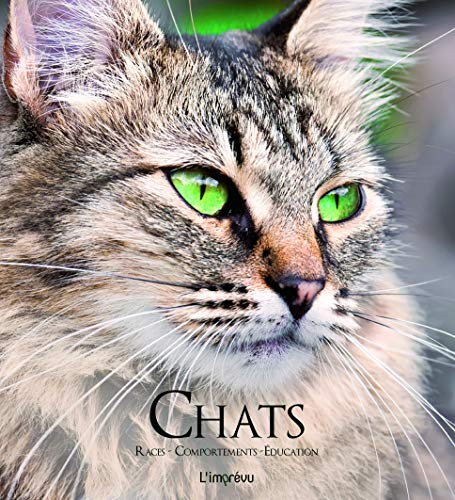 Chats : races, comportements, éducation