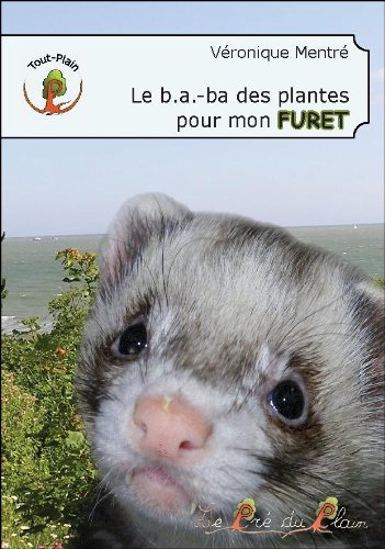 Le b.a.-ba des plantes pour mon furet