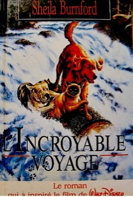 l incroyable voyage