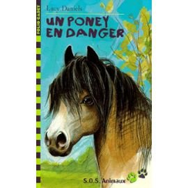 Poney en danger