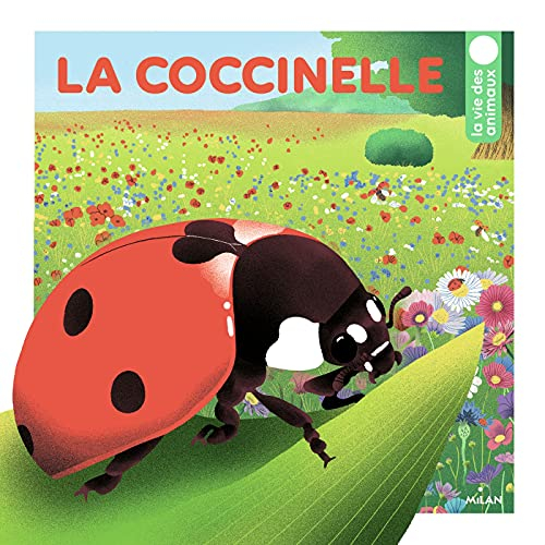 La coccinelle