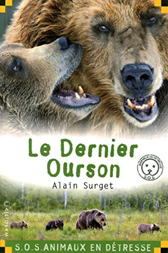Le dernier ourson