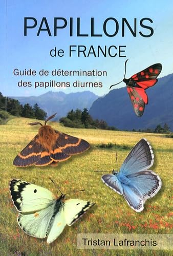 Papillons de France : Guide de détermination des papillons diurnes