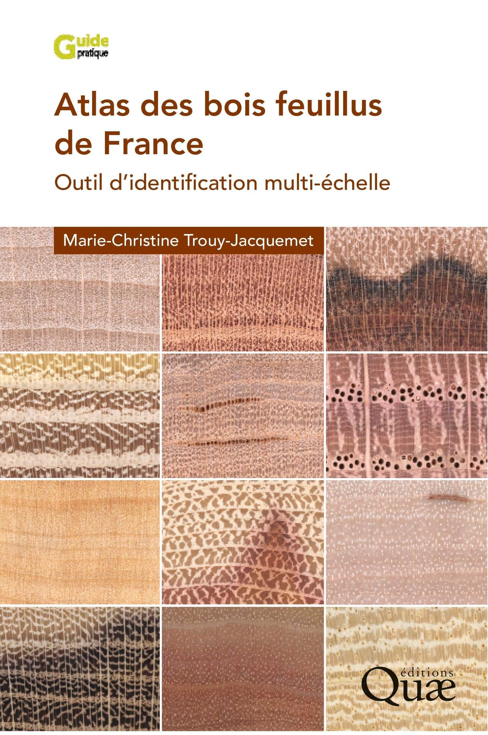 Atlas des bois feuillus de France : outil d'identification multi-échelle