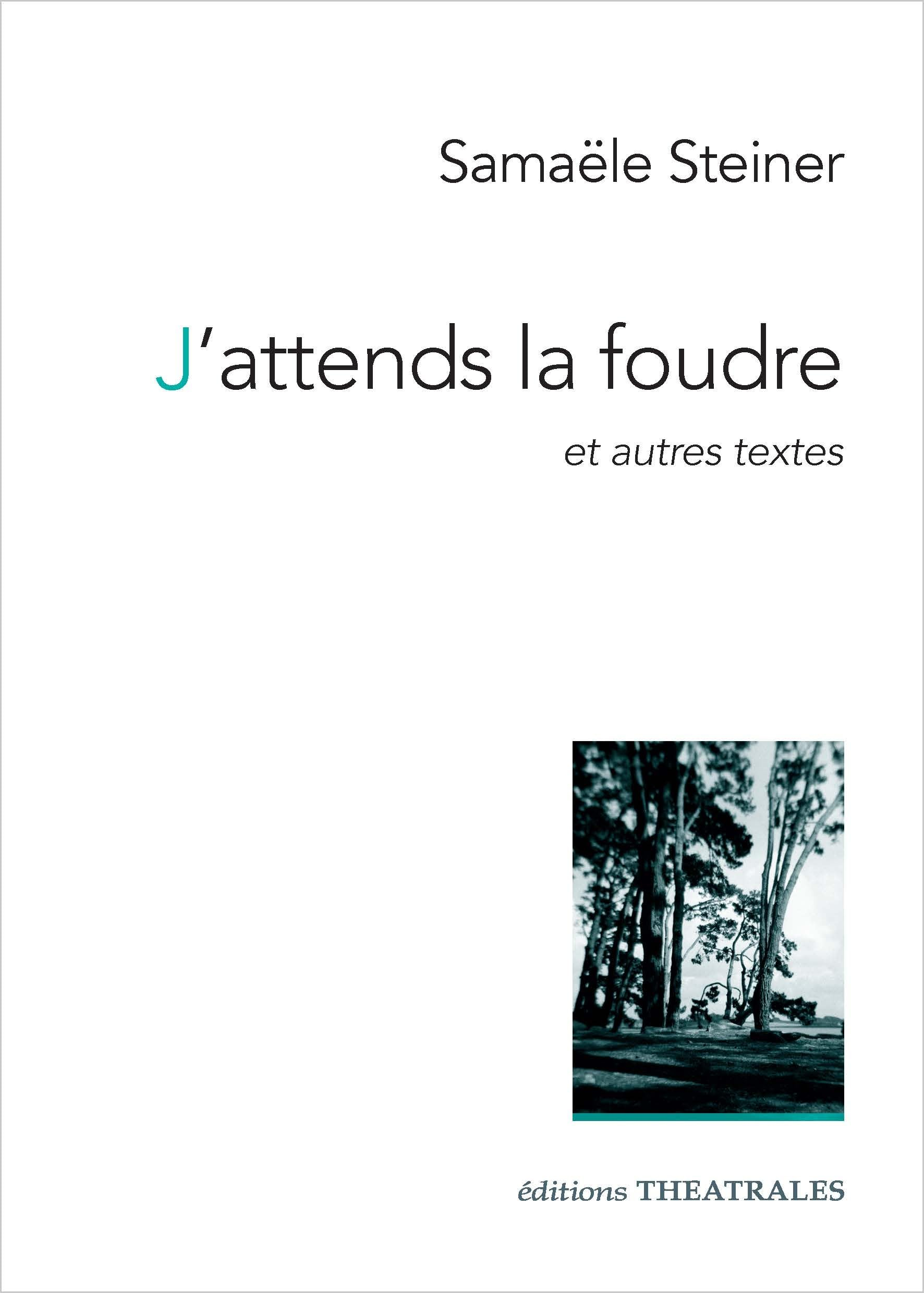 J'attends la foudre : et autres textes