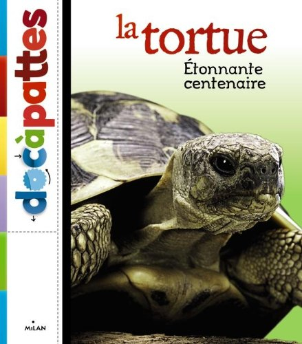 La tortue : étonnante centenaire