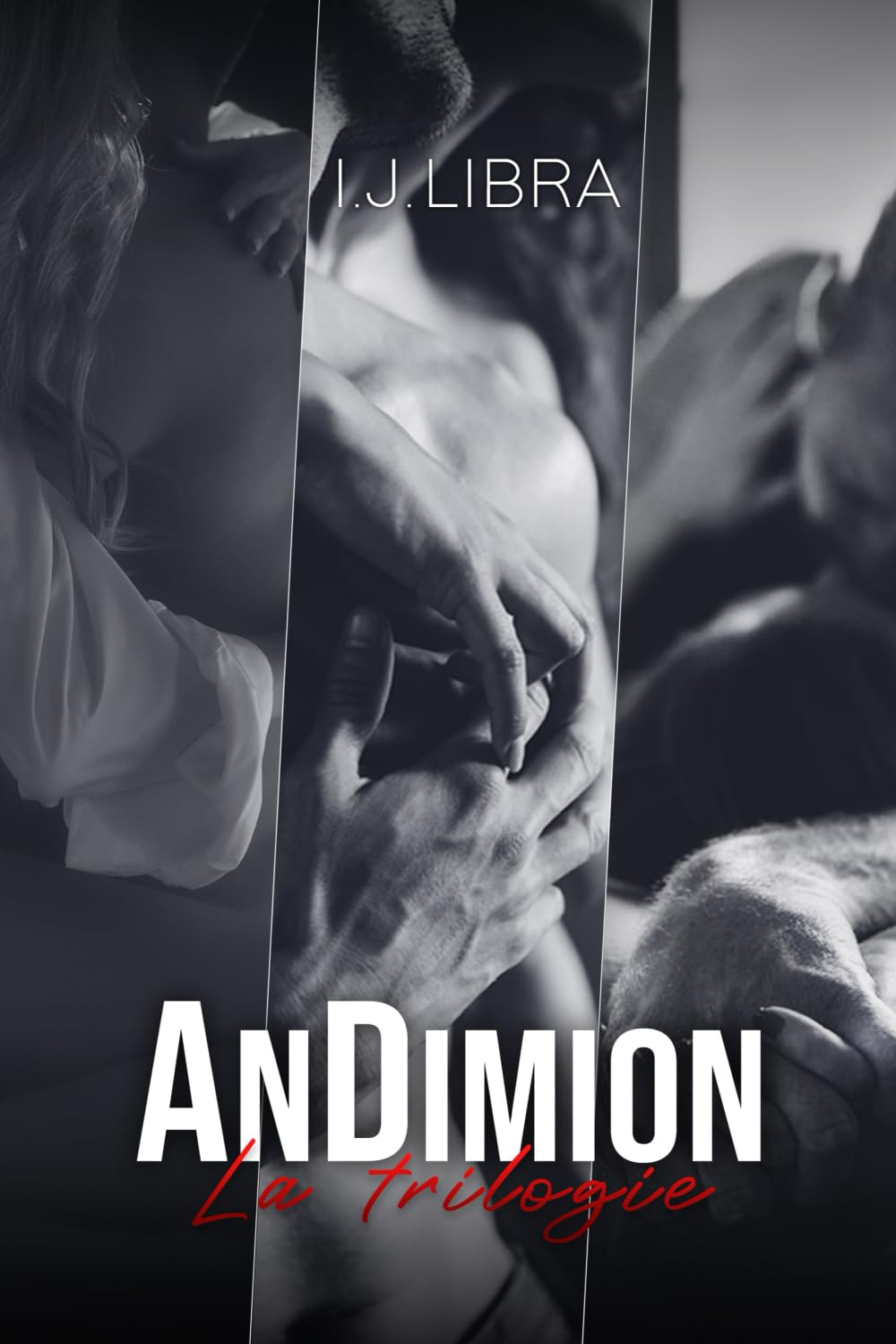 AnDimion, La Trilogie