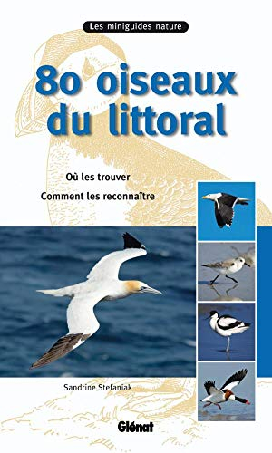 80 oiseaux du littoral : où les trouver, comment les reconnaître