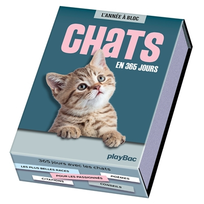 Chats : en 365 jours