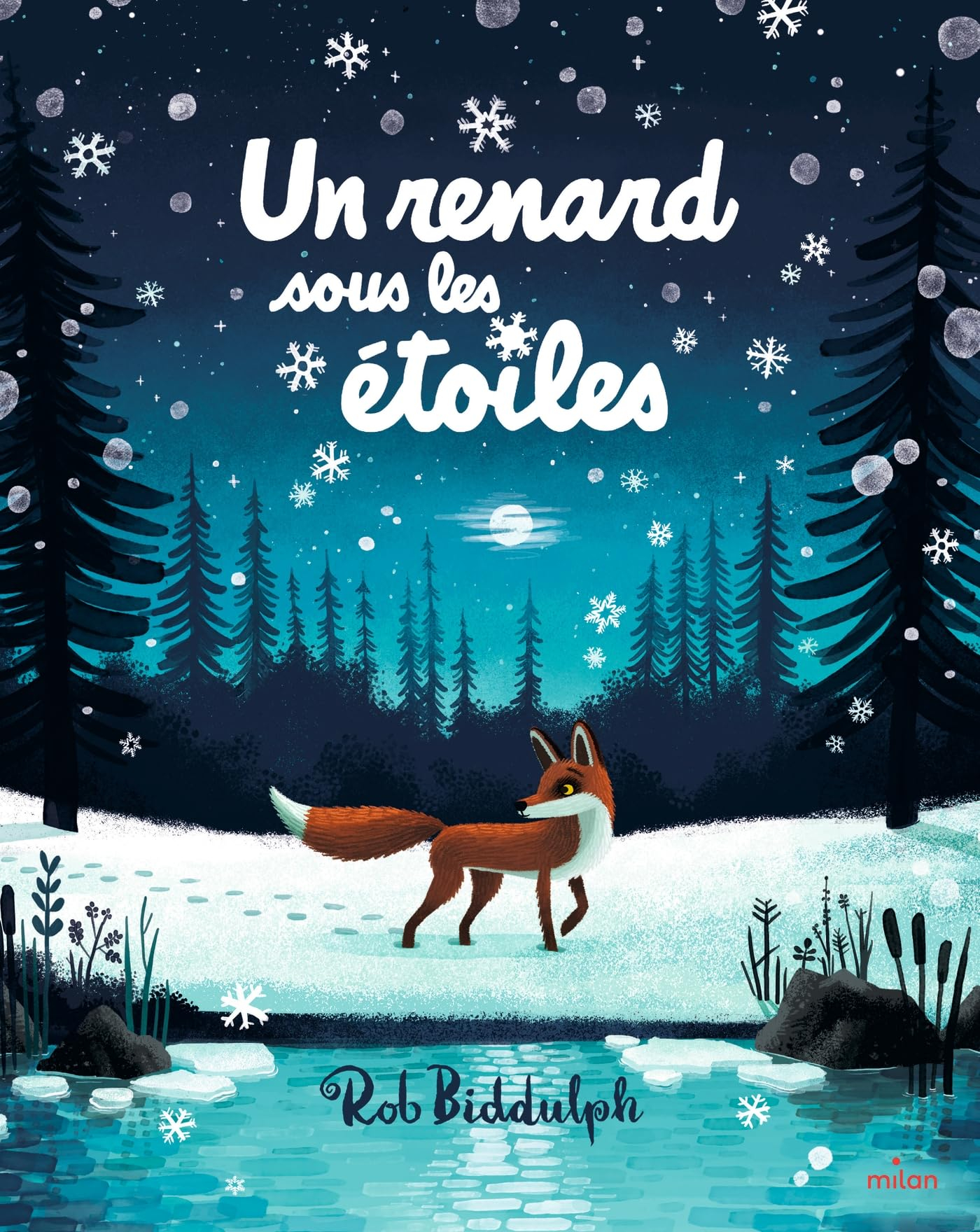 Un renard sous les étoiles