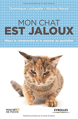 Mon chat est jaloux : mieux le comprendre et le rassurer au quotidien