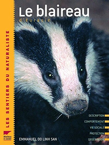 Le blaireau d'Eurasie : description, comportement, vie sociale, protection, observation