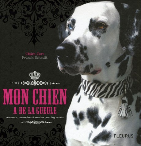 Mon chien a de la gueule : vêtements, accessoires & recettes pour dog models