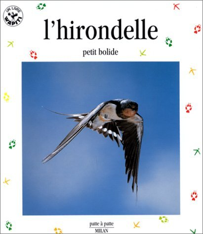 L'hirondelle : petit bolide