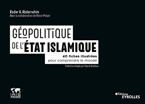 Géopolitique de l'Etat islamique : 40 fiches illustrées pour comprendre le monde