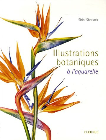 Illustrations botaniques à l'aquarelle