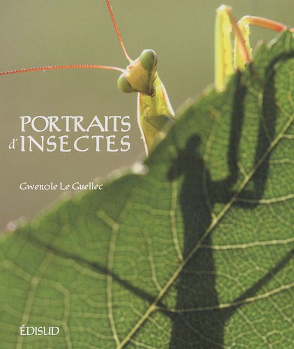 Portraits d'insectes