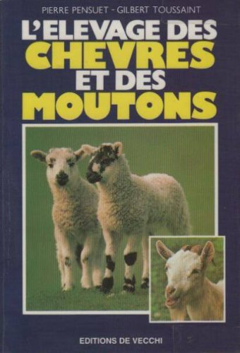 elevage des chèvres et des moutons