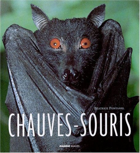 Chauves-souris