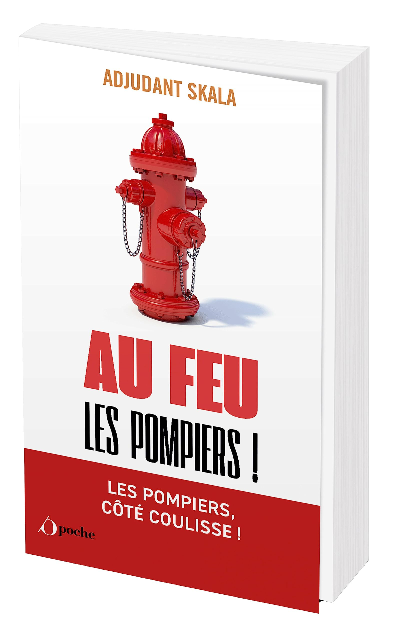 Au feu les pompiers ! : histoires vraies