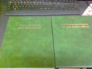 la flore exotique et ses merveilles