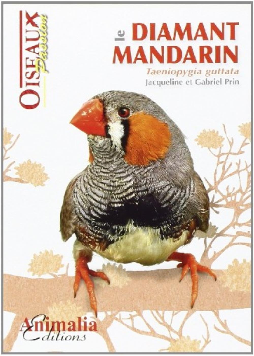 Le diamant mandarin : taeniopygia guttata