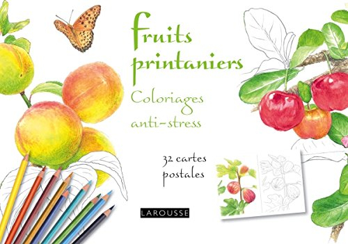 Fruits de saison : coloriages anti-stress