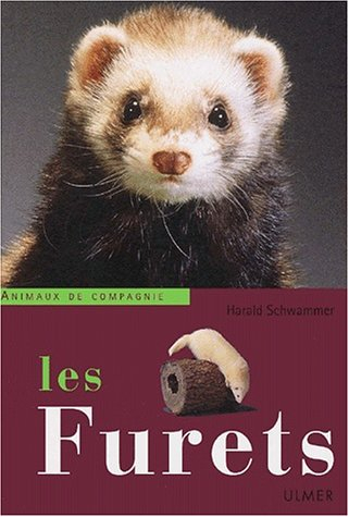 Les furets