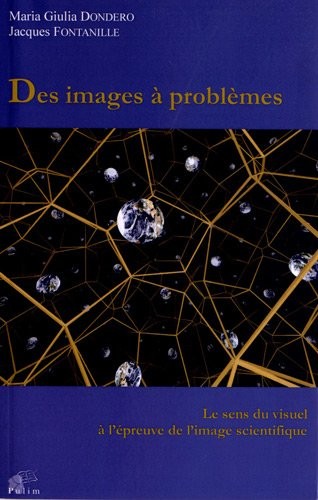 Des images à problèmes : le sens du visuel à l'épreuve de l'image scientifique