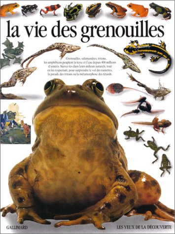 La vie des grenouilles