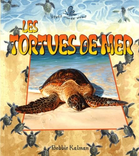 Les tortues de mer