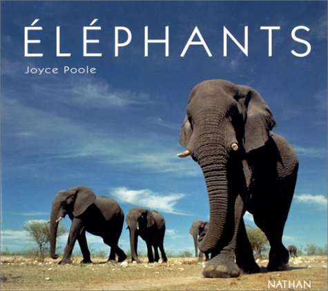 Eléphants