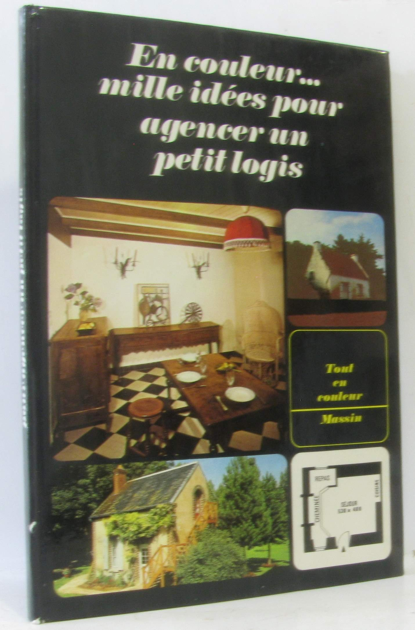 En couleur. mille idées pour agencer un petit logis