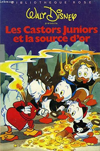 Les Castors juniors et la source d'or (Bibliothèque rose)