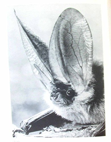 des sommets de la montagne aux bords de la mer. notre terre.