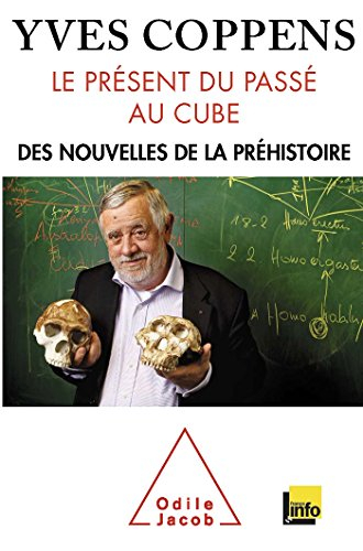 Le présent du passé au cube : des nouvelles de la préhistoire