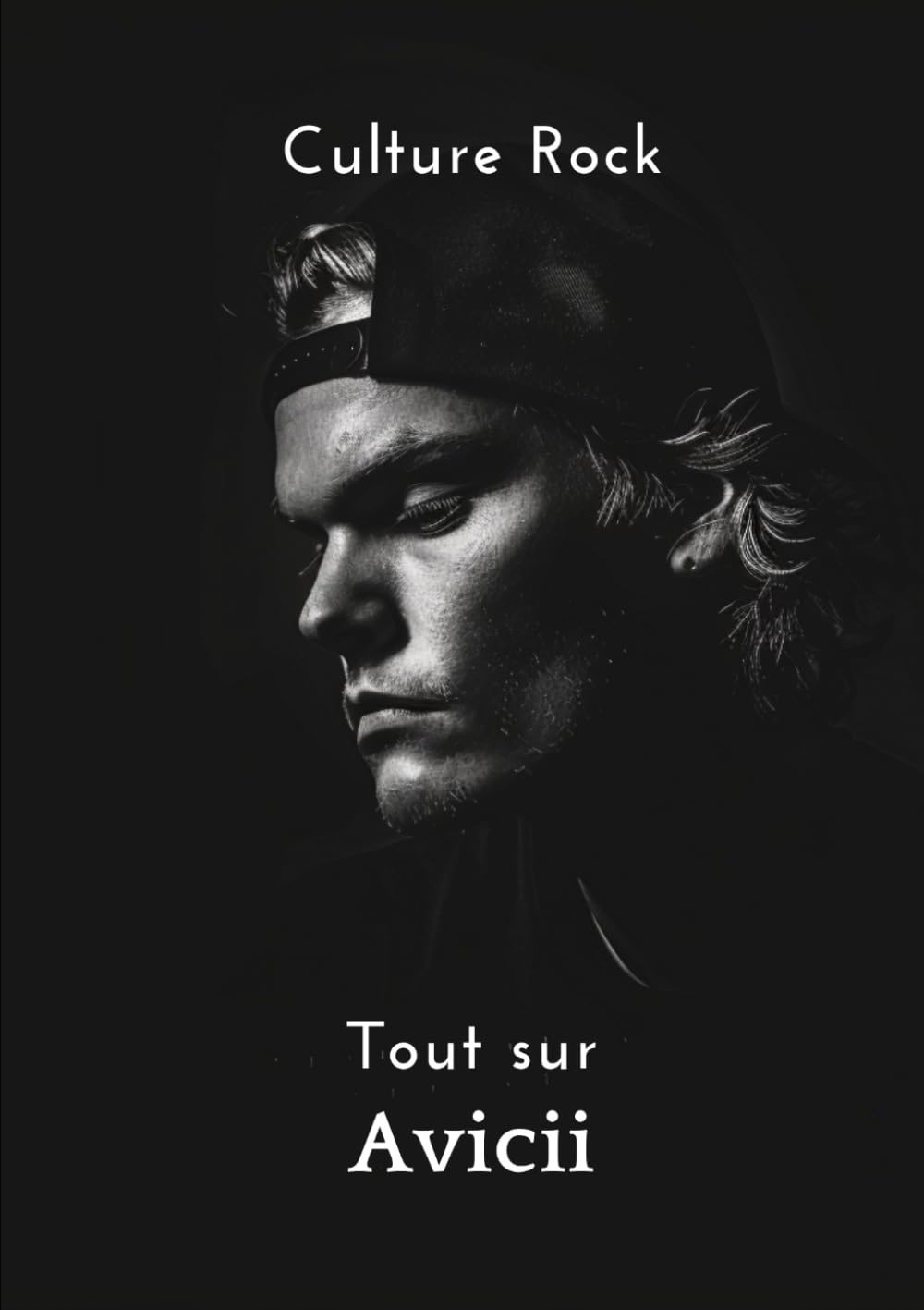 Tout sur Avicii