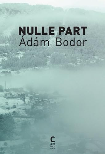 Nulle part. La section