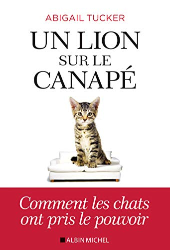 Un lion sur le canapé : comment les chats ont pris le pouvoir