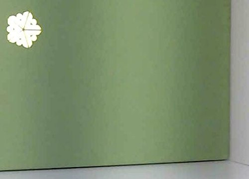 La Nature sauvegardée : les espaces protégés de France