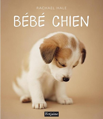 Bébé chien