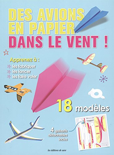 Des avions en papier dans le vent !