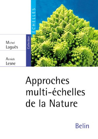 Invariances d'échelle : des changements d'états à la turbulence