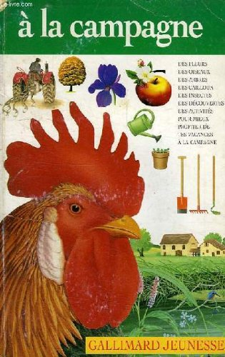 Des pas dans la neige : aventures au Pakistan