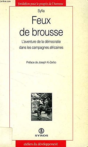 Feux de brousse : l'aventure de la démocratie dans les campagnes africaines
