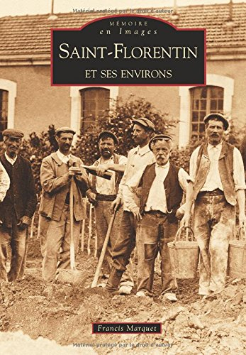 Saint-Florentin. Saint-Florentin et ses environs