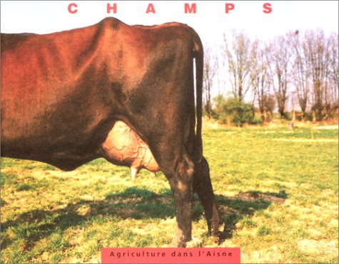 Champs, agriculture dans l'Aisne